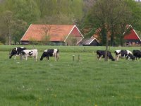 Gelderland stemt in met strenge regels in zones