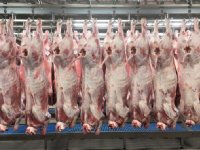 FNV: werkdruk keurmeesters slachthuizen te hoog