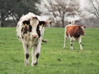 Rechter eist versnelling stikstofaanpak