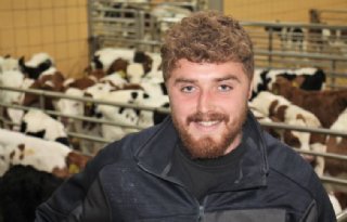 %E2%80%98s+Ochtends+weg+bij+melkveehouder%2C+%E2%80%99s+avonds+netjes+gesorteerd+in+stal+kalverhouder