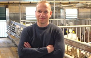 Roséstartkalveren geven dynamiek aan bedrijf