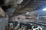 Beton roosters met easyfix rubber